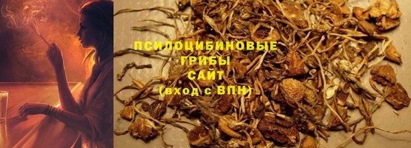 ГАЛЛЮЦИНОГЕННЫЕ ГРИБЫ Пересвет