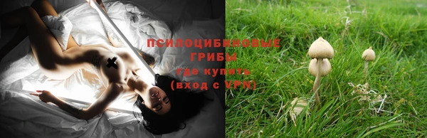 ГАЛЛЮЦИНОГЕННЫЕ ГРИБЫ Пересвет