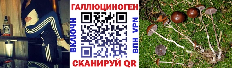Купить  Стрежевой  Галлюциногенные грибы ЛСД 